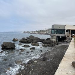 Punta Morro Resort - Shoreline with view of restaurant