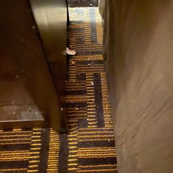 Astoria Hotel & Suites - Next to nightstand