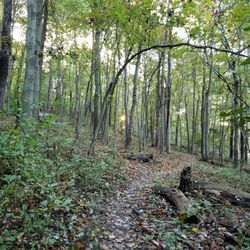 Pleasant Valley Park