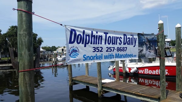 SNORKELING WITH MANATEES - Updated January 2025 - 28 Photos & 31