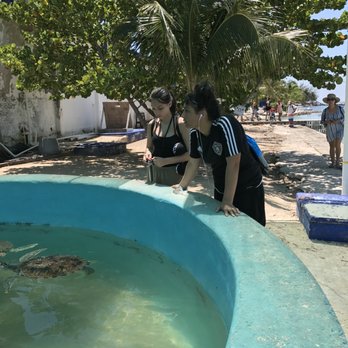 Tortuganja / Turtle Farm - Parks Near Me - Quintana Roo, ROO