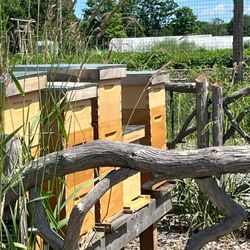 US Post Office - Beehive