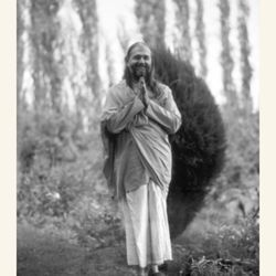 Ananda Meditation and Yoga Community