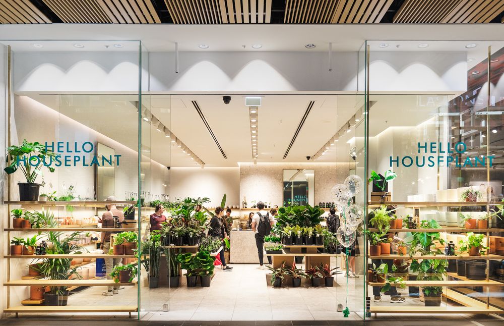 HELLO HOUSEPLANT Updated October 2024 Melbourne Central, 300