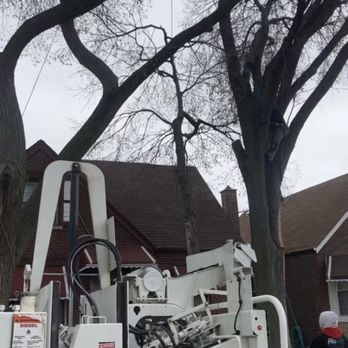 Grow Side Landscaping - Cutting tree limbs that grow close to house - Masonry/Concrete Near Me Grow Side Landscaping - Cutting tree limbs that grow close to house - Masonry/Concrete Near Me