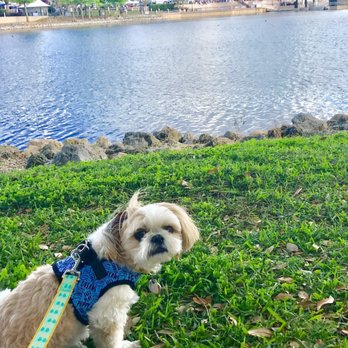 Crane's Roost Park - Mocha Coconut Relaxing by the water! The weather was perfect! - Parks Near Me - Altamonte Springs, Florida Crane's Roost Park - Mocha Coconut Relaxing by the water! The weather was perfect! - Parks Near Me - Altamonte Springs, Florida