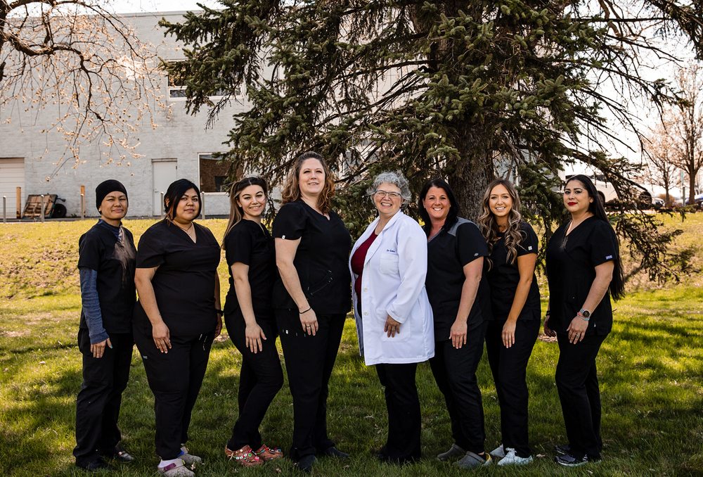 ILLIANA VETERINARY HOSPITAL Updated September 2024 18 Photos & 15