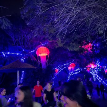 Zoo Miami - Zoo Lights Miami 2022 - Zoos Near Me - Miami, Florida