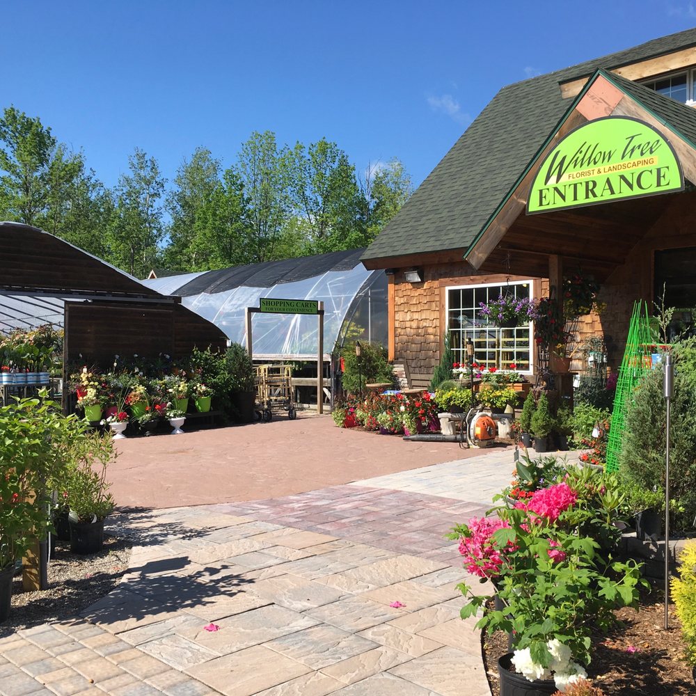 Flowers Potsdam Ny Best Flower Site