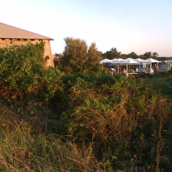 Multi Aquaculture Systems - Dining area from the dunes - Seafood Near Me - Amagansett, New York Multi Aquaculture Systems - Dining area from the dunes - Seafood Near Me - Amagansett, New York