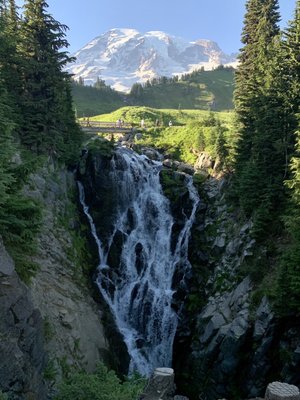 Myrtle Falls by null