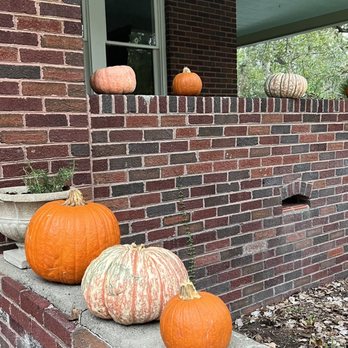 Nature Discovery Center - It's Fall Y'all - Community Service/Non-Profit Near Me - Bellaire, Texas Nature Discovery Center - It's Fall Y'all - Community Service/Non-Profit Near Me - Bellaire, Texas