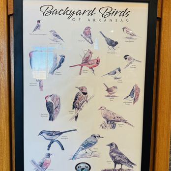 West Memphis Welcome Center - Native Bird Species. - Rest Stops Near Me - West Memphis, Arkansas West Memphis Welcome Center - Native Bird Species. - Rest Stops Near Me - West Memphis, Arkansas