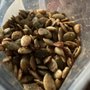 Photo of Frankly Delicious Nuts & More