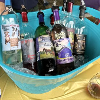 Brandeberry Winery - Sweet wines for tasting at the 2023 Dogtober Fest - Wineries Near Me - Enon, Ohio