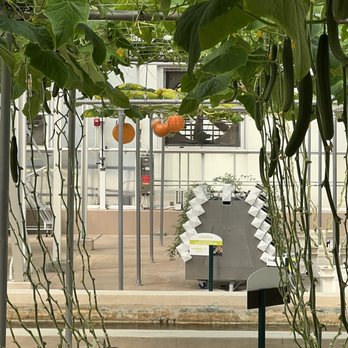 Behind the Seeds - Tours Near Me - Orlando, Florida