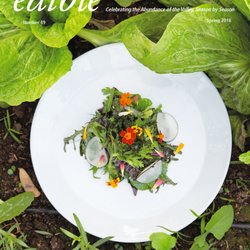 Edible Phoenix - Spring 2018: Big Squash, Visit Aravaipa, Seed-to-Cup, Farm at South Mountain, Javelina