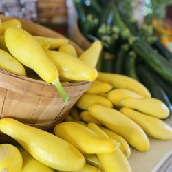 Lola's Local Market - Summer squash