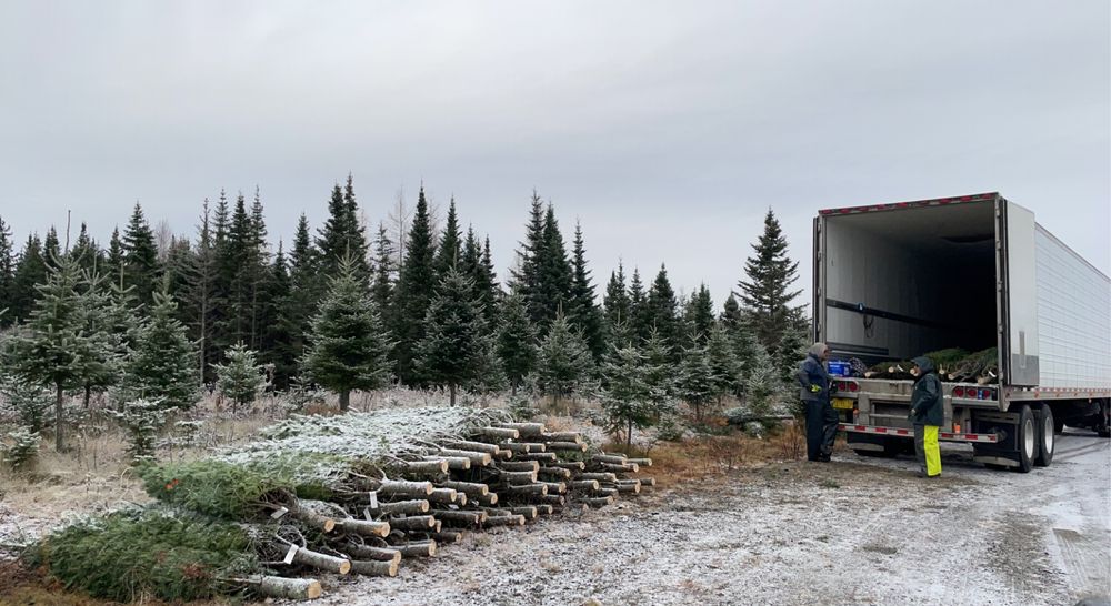 CALGARY CHRISTMAS TREES Updated August 2024 260300 Writing Creek Crescent, Rocky View County