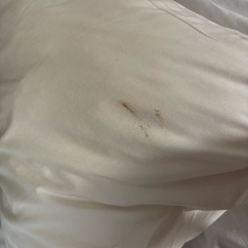 Beachway Motel - Stained pillow with ash on it - Hotels Near Me - Salisbury, Massachusetts