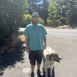 We Scoop Your Poo - Dog walking