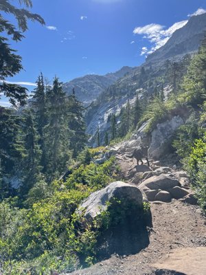 Mount Pilchuck Trailhead by null