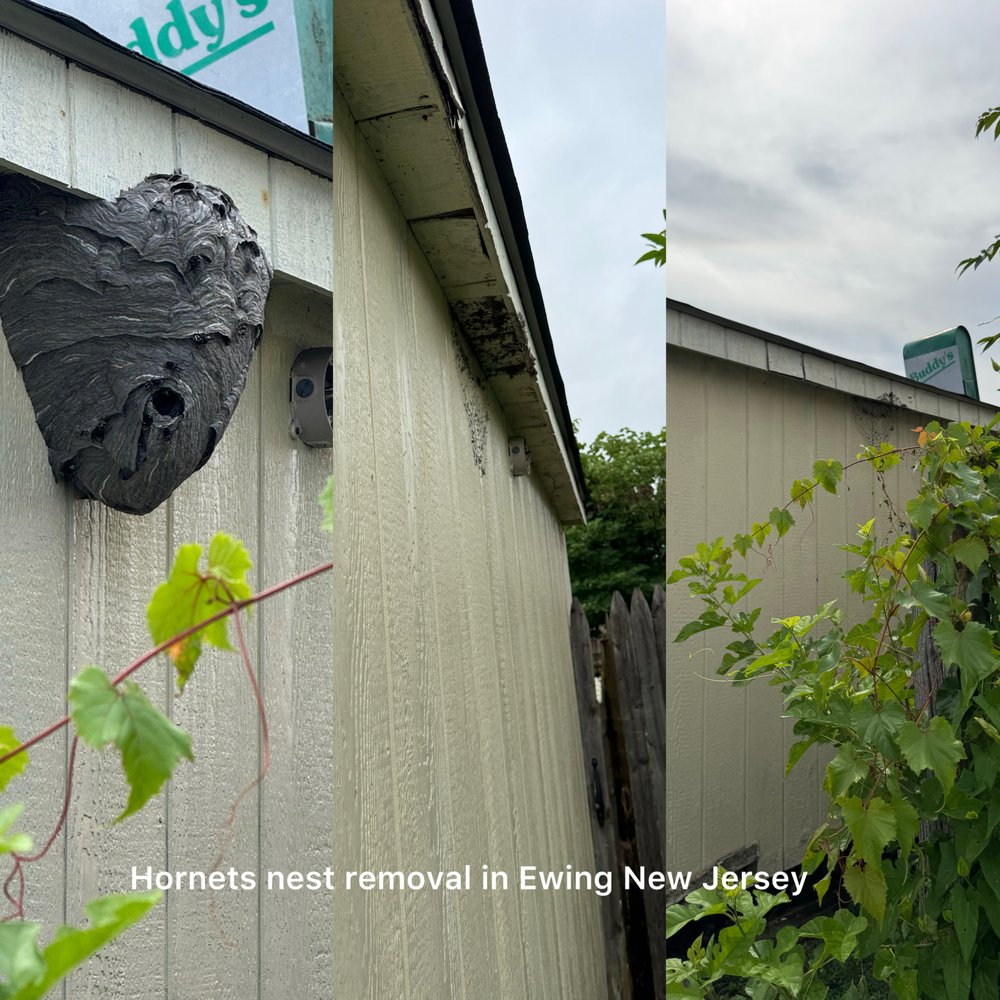 UNIVERSAL PEST CONTROL Updated November 2025 38 Photos 54 Reviews O