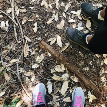 Big Basin Redwoods State Park - After our 6 mile hike - our shoes didn't get THAT dirty :) - Parks Near Me - Boulder Creek, California