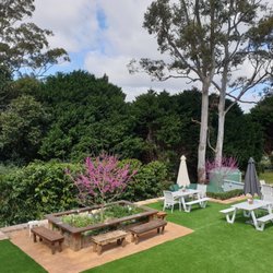 Green Lane Coffee Plantation