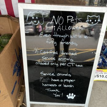 Davis Iga - Service Animal Sign with Misinformation - Specialty Food Near Me - Kent, Connecticut Davis Iga - Service Animal Sign with Misinformation - Specialty Food Near Me - Kent, Connecticut