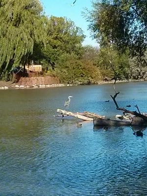 Chinguacousy Park by null