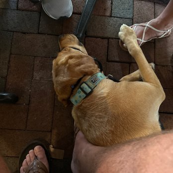 Pepe's Cantina - Pet friendly !! - Mexican Near Me - Winter Park, Florida Pepe's Cantina - Pet friendly !! - Mexican Near Me - Winter Park, Florida