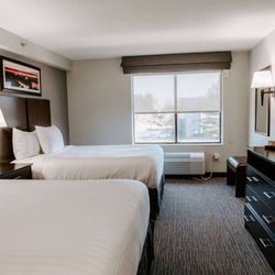 Wingate by Wyndham Chantilly / Dulles Airport - Guest Room