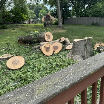 Vasquez Tree service & landscaping - Tree Services Near Me Vasquez Tree service & landscaping - Tree Services Near Me