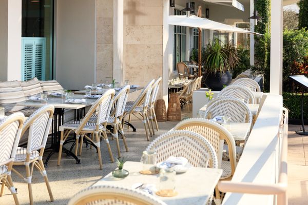 The Social Club by null