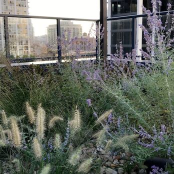 The Gallery on Wells - Rooftop Deck - Apartments Near Me - Chicago, Illinois