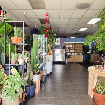 Pure Water & Ice - Water Stores Near Me - Newark, California Pure Water & Ice - Water Stores Near Me - Newark, California