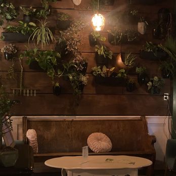 Sweatman's Garden - Atmosphere! - Fondue Near Me - Charleston, South Carolina