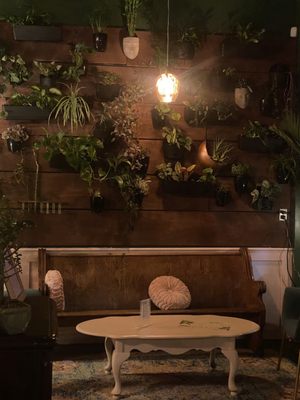 Sweatman’s Garden by null
