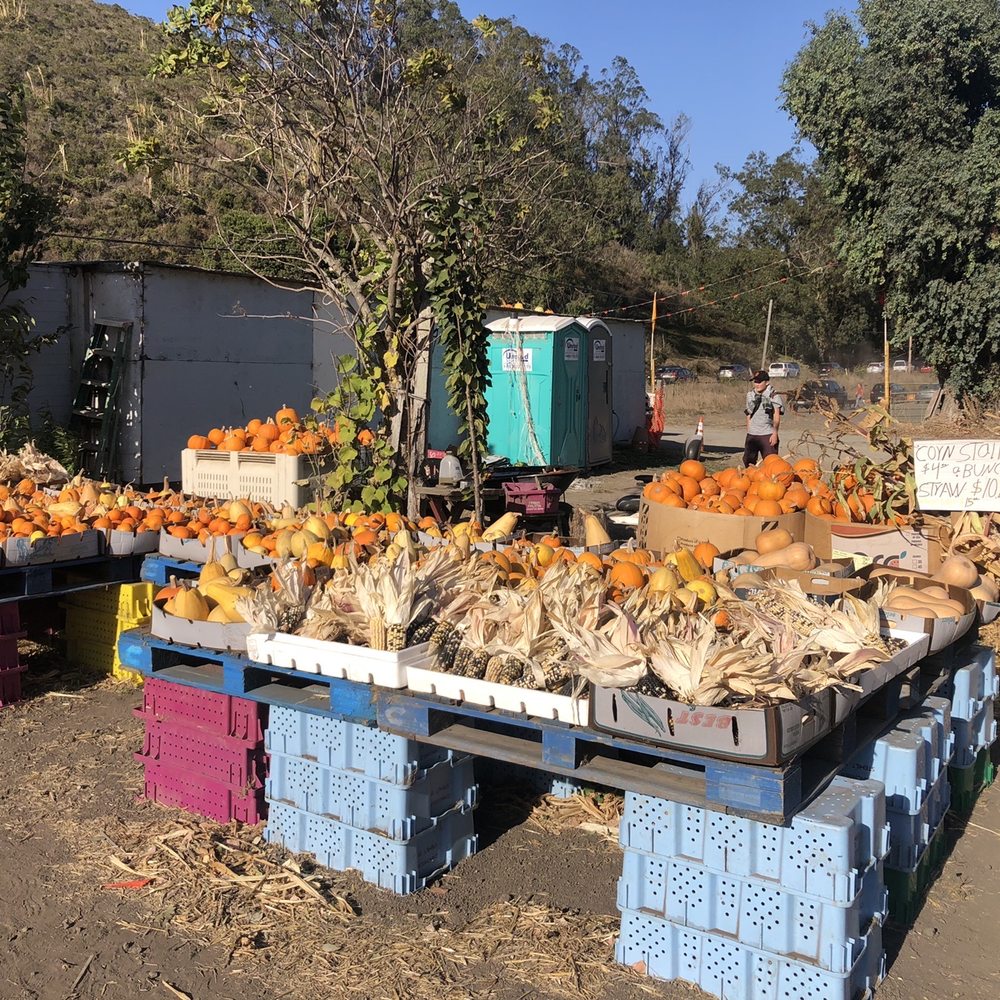 Repetto's Pumpkins - Pumpkin Patches Near Me - Half Moon Bay, California Repetto's Pumpkins - Pumpkin Patches Near Me - Half Moon Bay, California