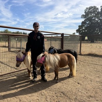 Fast Action Pest Control - Horse paddock - Pest Control Near Me - Elk Grove, California