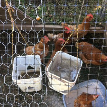 O'o Farms - Food Tours Near Me - Kula, Hawaii