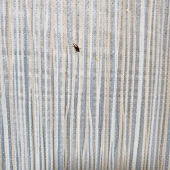 Residence Inn by Marriott Charleston Riverview - Cockroaches on kitchen - Hotels Near Me - Charleston, South Carolina Residence Inn by Marriott Charleston Riverview - Cockroaches on kitchen - Hotels Near Me - Charleston, South Carolina