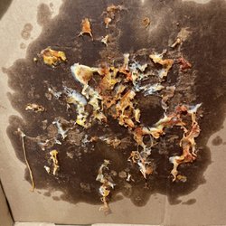 Round Table Pizza - Inside top of pizza box that had been smashed during delivery.