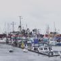 Photo of Gilleleje Havn