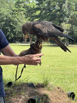 The Avian Conservation Center & Center for Birds of Prey by null