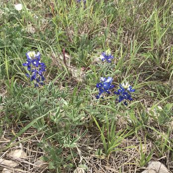 Lady Bird Johnson Park - Hiking Near Me - San Antonio, Texas
