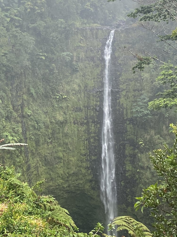 C & C TAXI Kailua Kona, Hawaii Airport Shuttles Phone Number Yelp