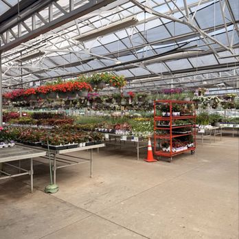 Bachman's Fridley - Nurseries & Gardening Near Me - Minneapolis, Minnesota
