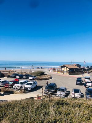 Torrey Pines State Natural Reserve by null